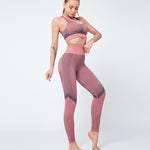 Apolline™ - Seamless High Waist Yoga Pants